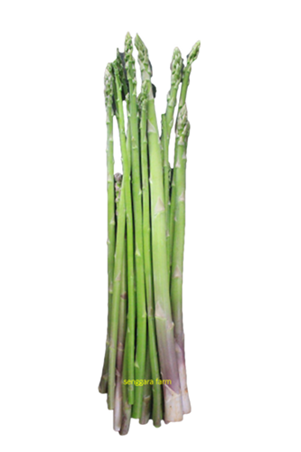 Fresh Asparagus